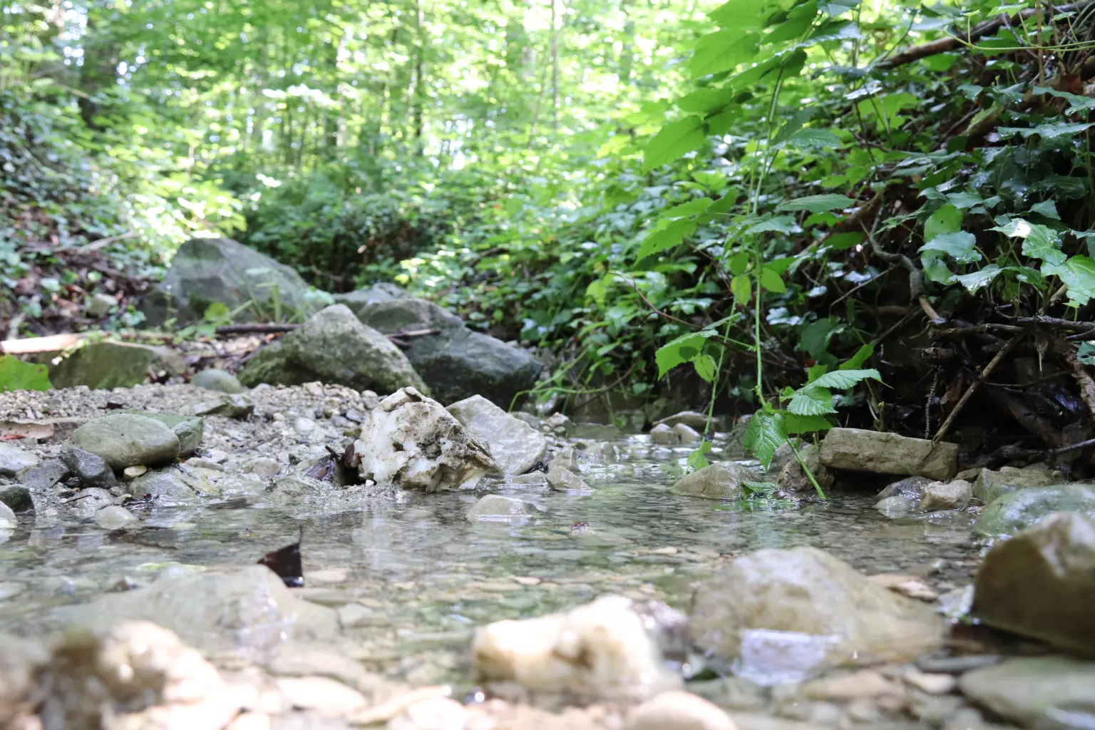 02 Startbild Abwasser@Carolina Hopen