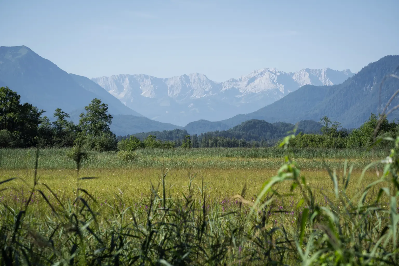 05 Startbild Umwelt©Travelling Creatives 6